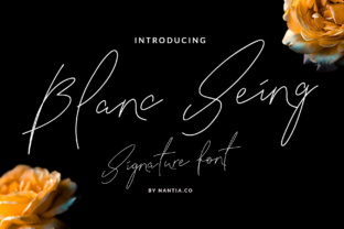 Blanc Seing: The Art of Visual Restraint