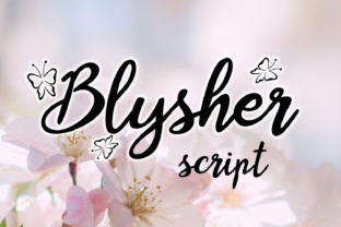 Blysher: A Practical Framework for Streamlined Workflows and Smarter Execution