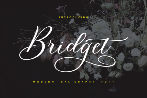 Bridget Script: What Most Users Get Wrong and How to Use It Right
