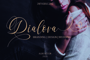 Dialova: A Practical Tool for Streamlined Communication and Workflow