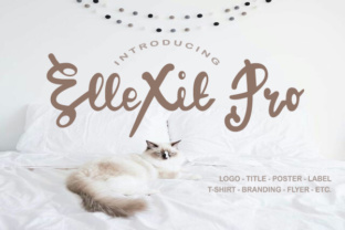 ElleXit Pro: Unlock Creative Potential