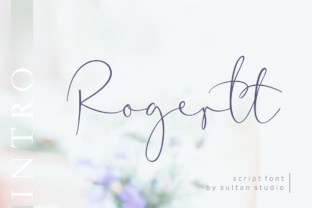 Evaluating Rogertt: A Practical Guide for Informed Decision-Making