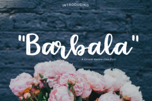 Harnessing Barbala for Smarter Workflows and Real Results