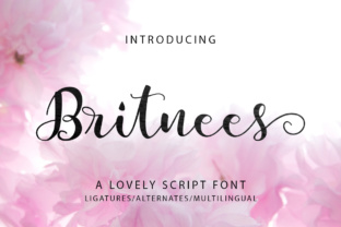 How Britnees Script Streamlines Modern SEO and Content Operations