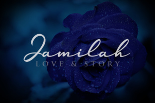 Jamilah: A Balanced Review for Informed Decision-Making