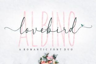 Lovebird