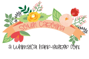 PN South Carolina: A Practical Resource for Professionals, Creators, and Small Business Owners