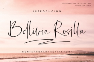 The Versatile Craft of Bollivia Rosilla in Modern Artisan Work