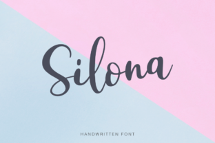 What Makes Silona a Distinct Choice? A Practical Guide for Decision-Makers